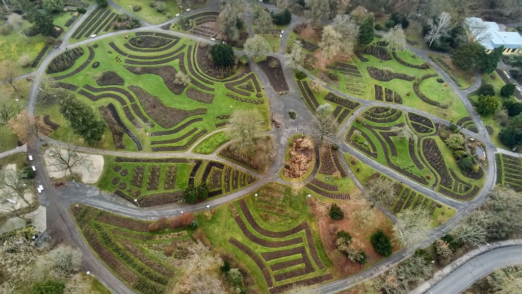 Das Europa-Rosarium scheint im Winterschlaf zu sein. Aber der Förderverein „Freunde des Rosariums Sangerhausen“ plant bereits die Festveranstaltung  zum 125-jährigen Jubiläum. 