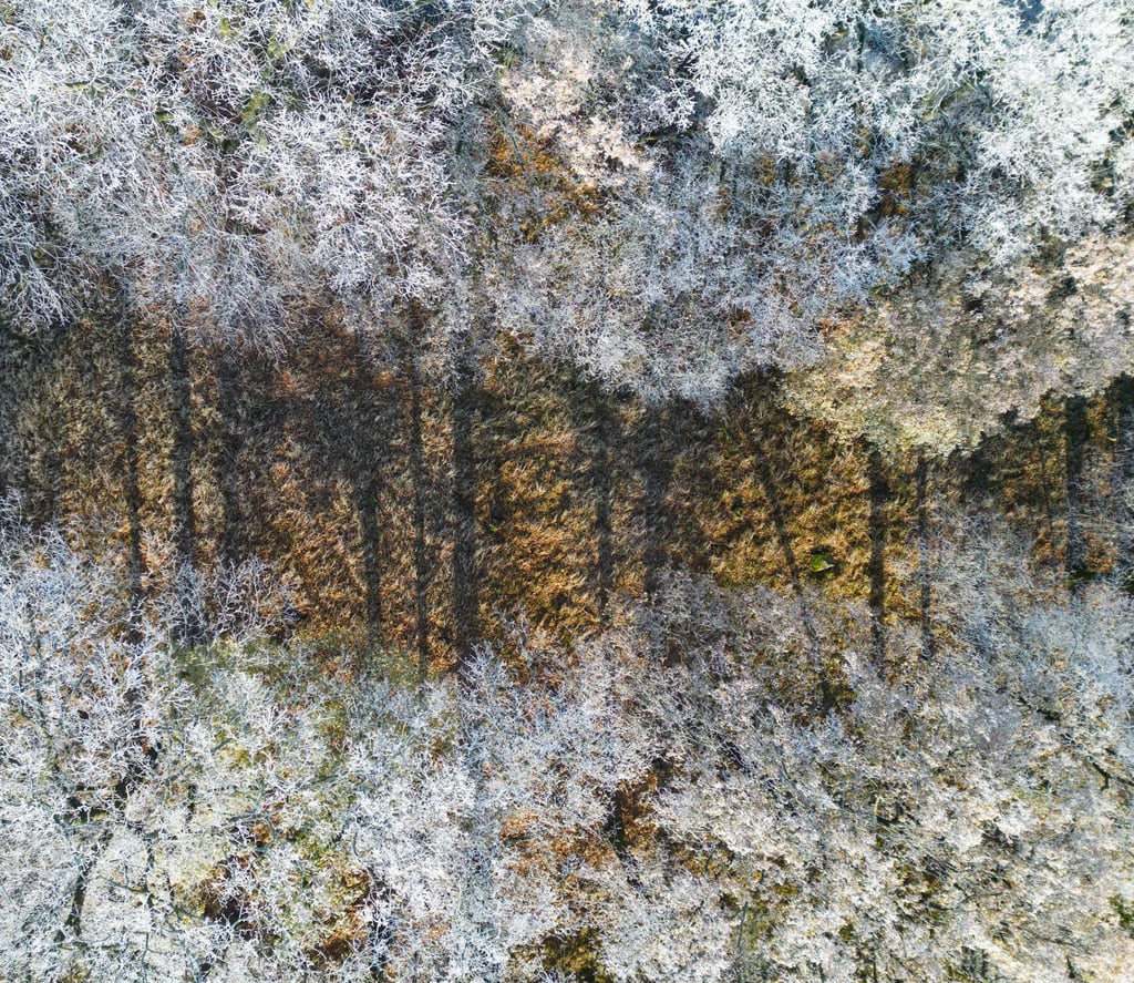 Der Deutsche Wetterdienst hat seine Wetterbilanz veröffentlicht. (Symbolbild)