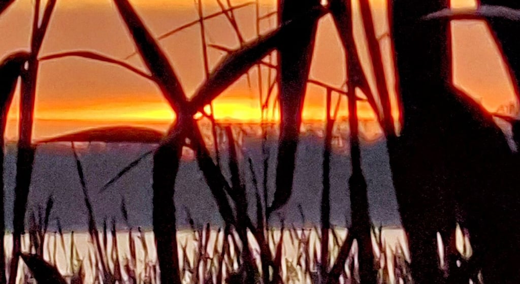 Interessante Motive werden gesucht. 