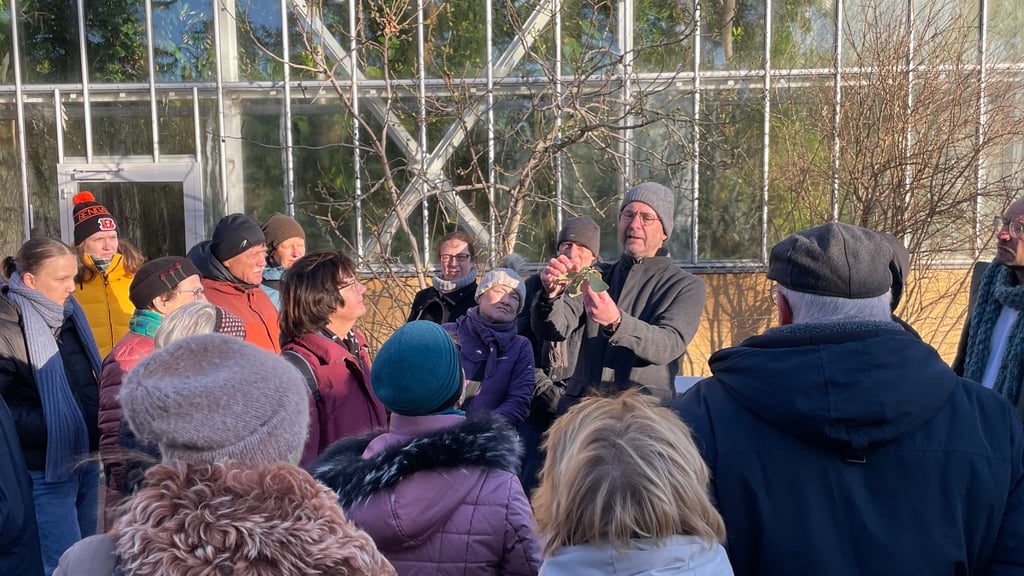 Der Andrang zum alljährlichen Winterspaziergang durch Halles botanischen Garten ist jedes  mal groß. In diesem Jahr präsentiert Kustos Matthias Hoffmann winterliche Knospen und Triebe. 