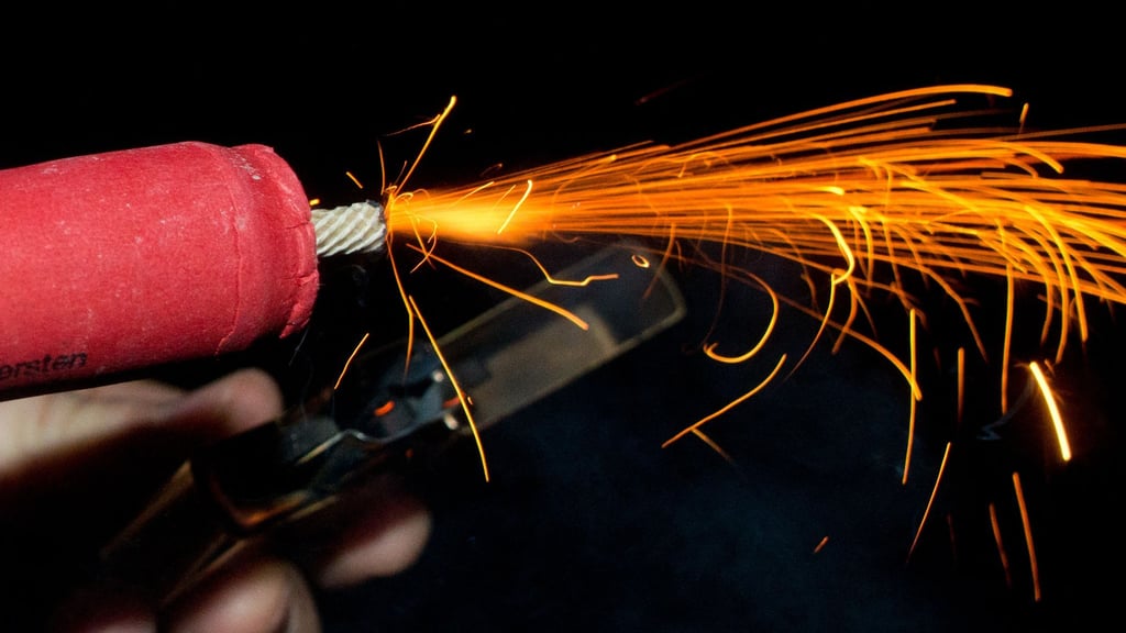 Genaue Zahlen dazu, wie viele Tiere in der Silvesternacht in panischer Flucht verletzt werden oder sterben, gibt es nicht. (Archivbild)