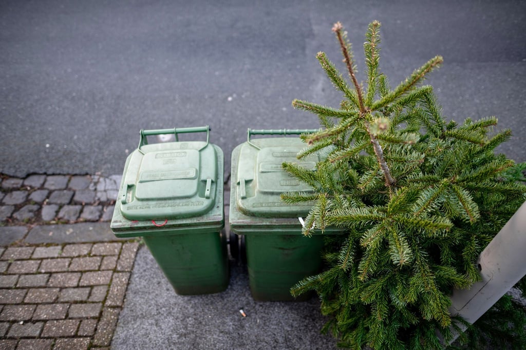 Weihnachtsbäume sollten weder im Ofen verbrannt noch an Haustiere verfüttert werden.