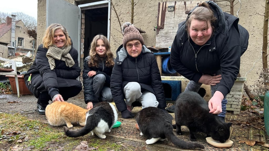 Mandy Eckert (r.) ist die Katzenretterin von Petersberg. Unterstützung bekommt sie von ihrer Nichte Hanna (2.v.l.), Petra Weickardt (2.v.r.) und Susann Gebauer vom Felidae.