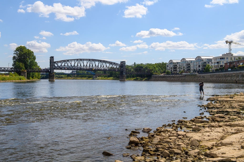 Sachsen-Anhalt war 2025 das niederschlagsärmste Bundesland. In Magdeburg ist die Trockenheit an der Elbe am Niedrigwasser im Sommer häufig zu erkennen. (Archivbild)