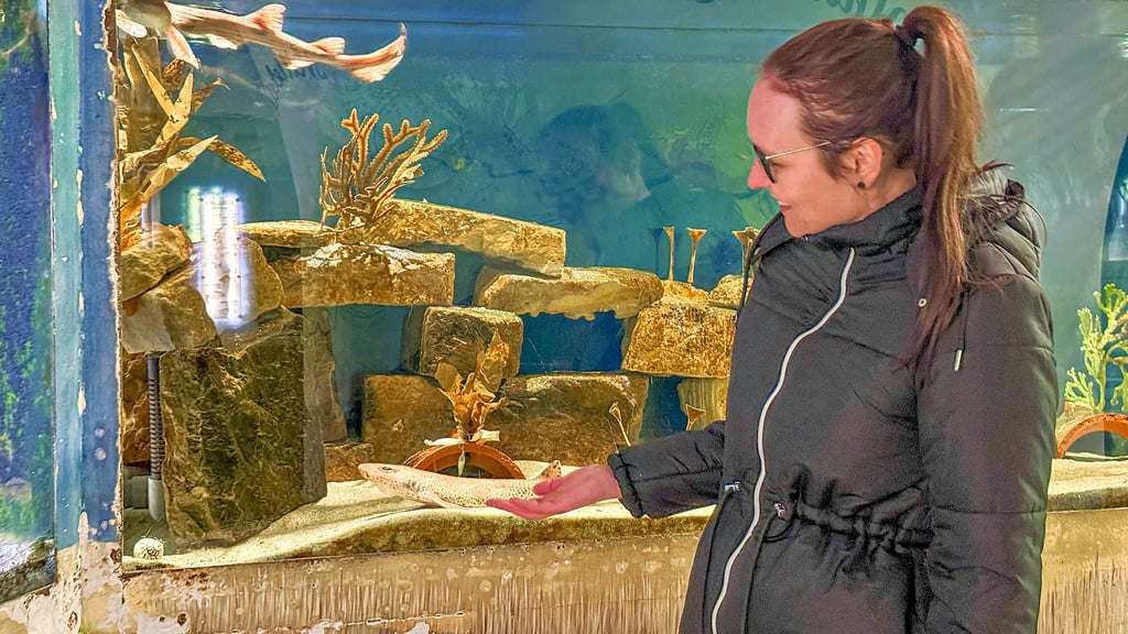 Vize-Tierparkleiterin Lisa Krautschick steht am Aquarium der Katzenhaie. Diese haben sich im feinen Sand gut getarnt. 