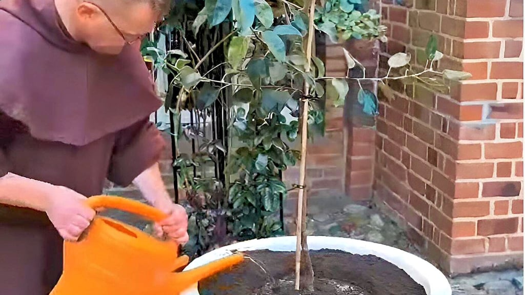 Bürgermeister Olaf Meining pflanzte  einen Apfelbaum der Sorte Gravenseiner. 