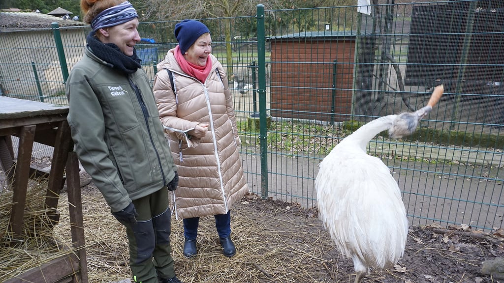 Nancy Hoffmann und Marlies Stock haben Spaß beim Füttern der Nandus.
