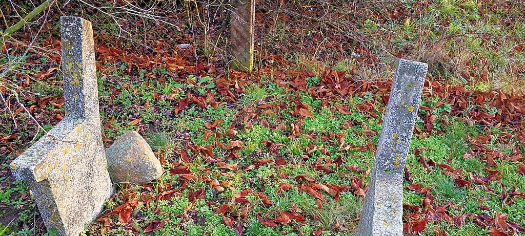 An der Gestiener Straße gibt es weder Gehweg noch Lampen. Hinzu kommt: Diese  öffentlich  zugängliche  Bank, die für Fußgänger  Momente der  Sicherheit bieten könnte, ist im aktuellen Zustand unbrauchbar. 
