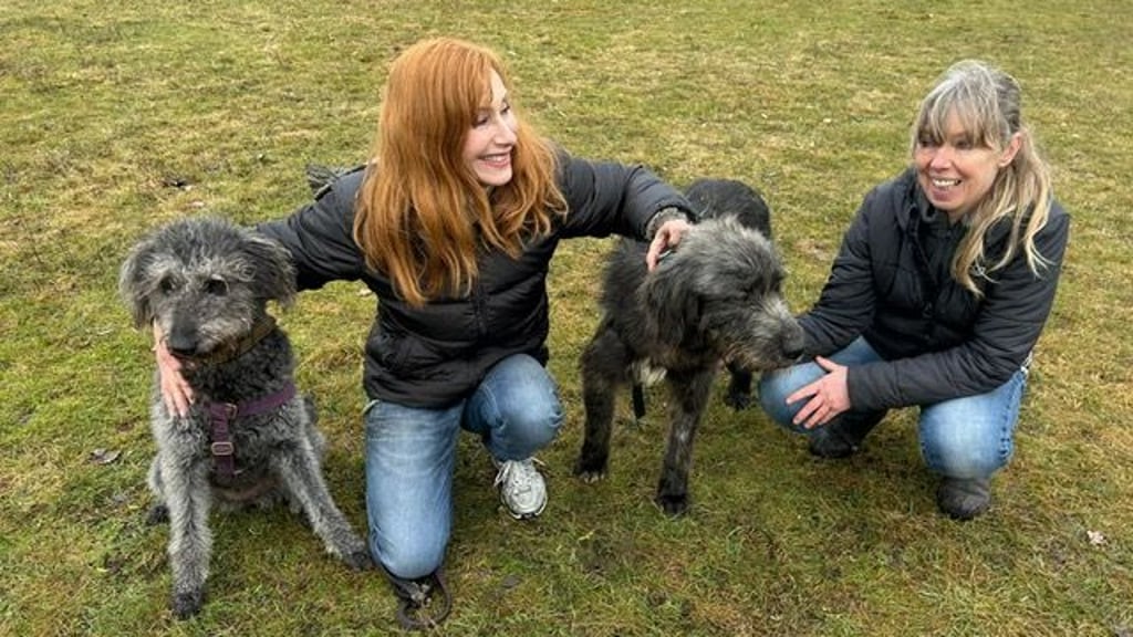 Andrea Sawatzki (l.) mit Tierheimleiterin Astrid Finger mit dem Neuzugang Milo (r.) und ihrer Familienhündin.