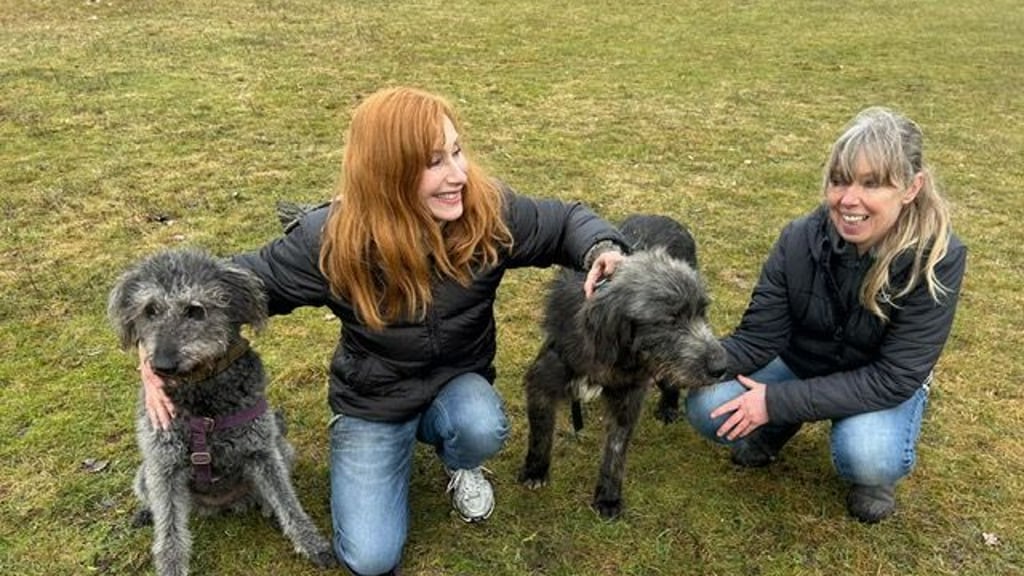 Schauspielerin Andrea Sawatzki (l.) mit der Burger Tierheimleiterin Astrid Finger mit dem Neuzugang Milo (r.) und ihrer Familienhündin.