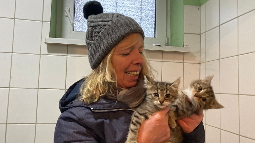 Astrid Finger und ihr Team betreuen im Tierheim Schartau unter anderem 70 Katzen.