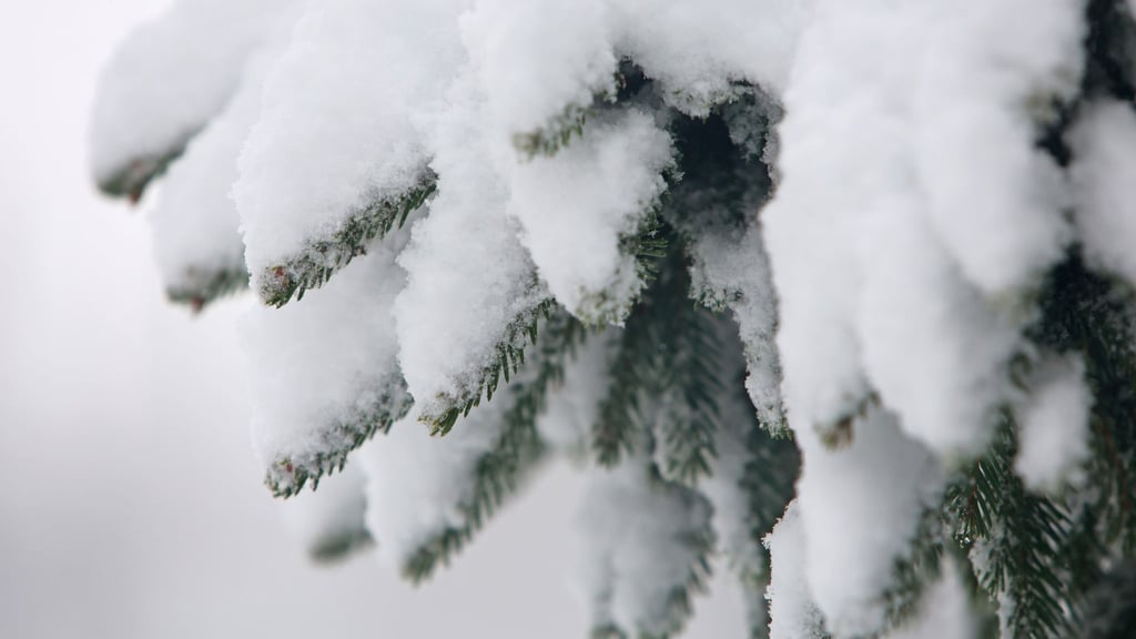 Kari Leibowitz hat ein Buch über die Vorzüge des Winters geschrieben. (Archivbild)