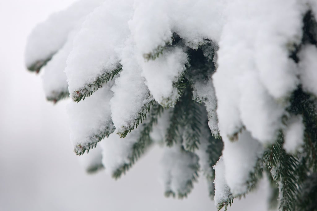 Kari Leibowitz hat ein Buch über die Vorzüge des Winters geschrieben. (Archivbild)