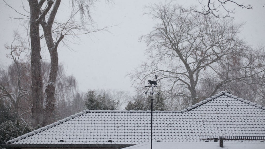 Zum Jahreswechsel fällt in Berlin Schnee.
