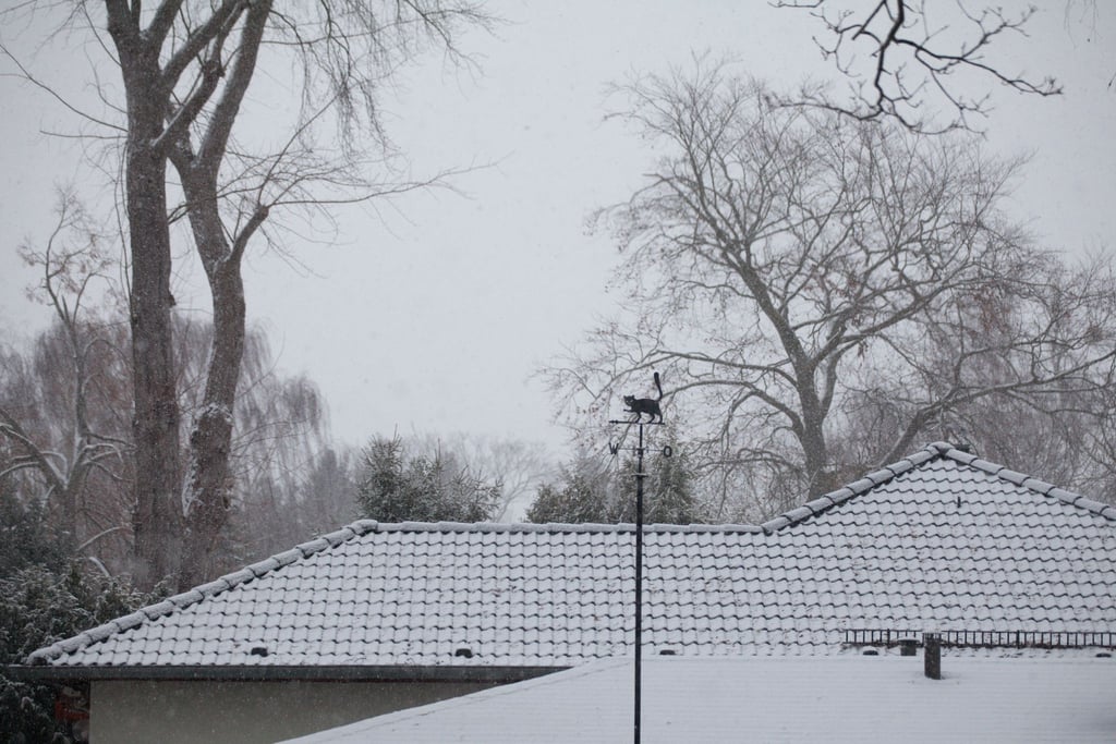 Zum Jahreswechsel fällt in Berlin Schnee.