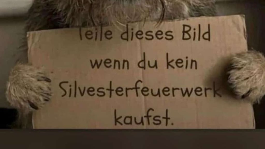 Ein Hund hält ein Plakat gegen Silvesterfeuerwerke hoch. Dieses „Bild“ wird vor der Jahreswende 2025/2026 im Landkreis Stendal eifrig in den sozialen Medien geteilt. 