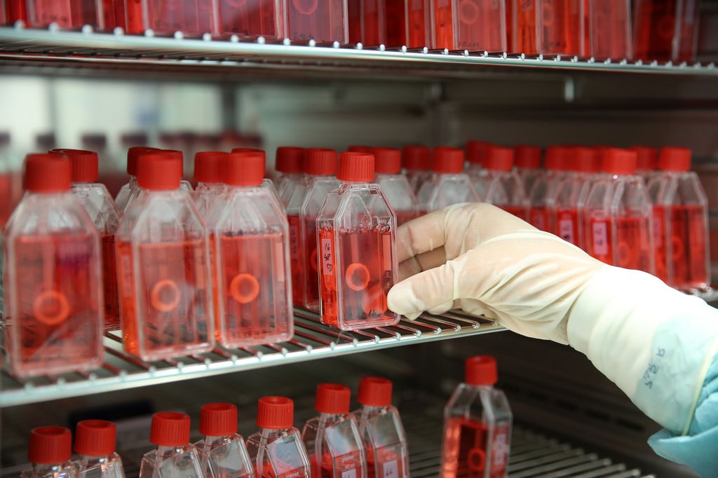 In einer Gewebebank zeigt eine Mitarbeiterin den Brutschrank mit präparierter menschlicher Hornhaut.