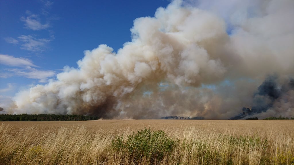 Zwischen Zerbst und Roßlau entwickelte sich Anfang Juli ein riesiger Waldbrand. Kilometerweit waren die hohen Rauchwolken zu sehen. Viele lasen den Online-Artikel dazu - der meistgeklickte 2025 war es allerdings nicht.