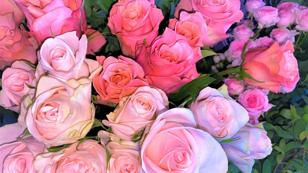 Warum ein Mann wegen 300 Rosen vor Gericht stand.