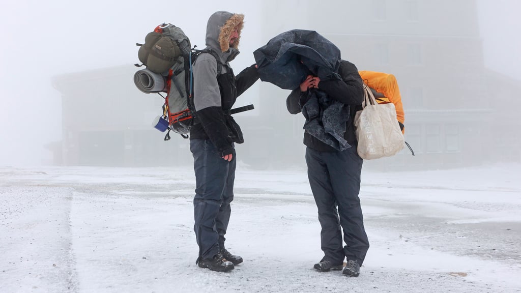 Für Sachsen-Anhalt wurden Sturmwarnungen am Freitag herausgegeben. Auf dem Brocken werden orkanartige Böen erwartet.