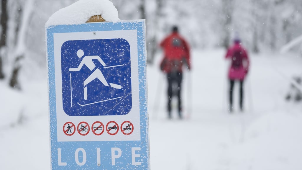 Auf Skiern durch den Gebirgswald: Nach den Schneefällen der vergangenen Tage sind vielerorts im Erzgebirge Loipen gespurt. (Archivbild)