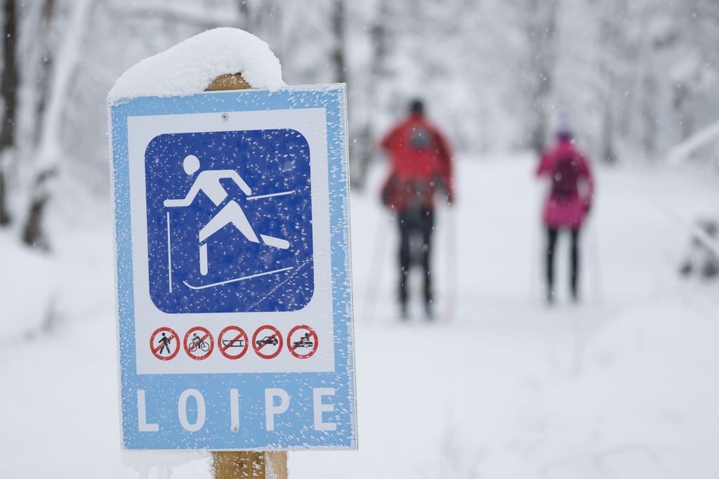 Auf Skiern durch den Gebirgswald: Nach den Schneefällen der vergangenen Tage sind vielerorts im Erzgebirge Loipen gespurt. (Archivbild)