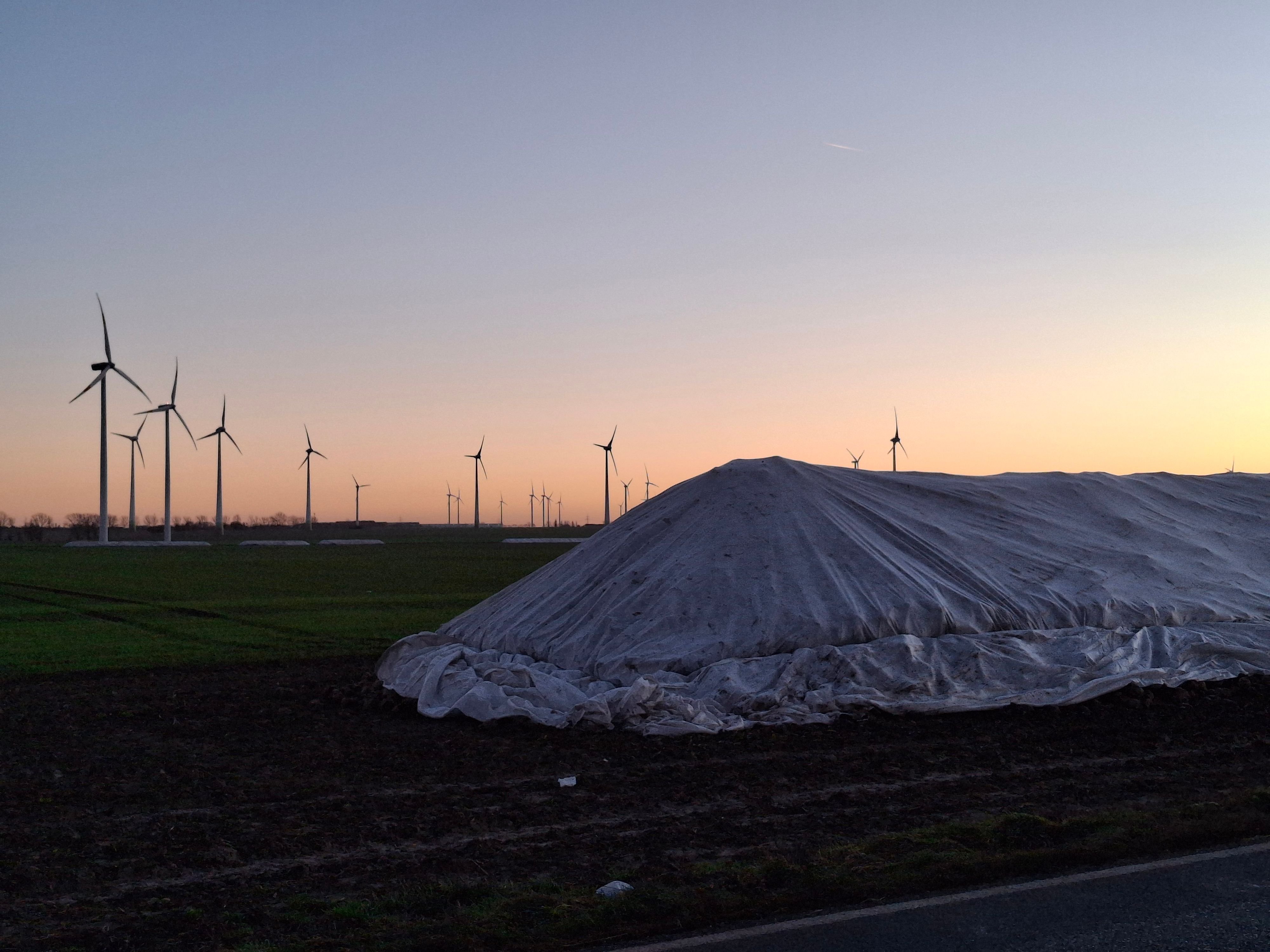 Rübensaison 2025: Zwei Millionen Tonnen Zuckerrüben: Lage in der Börde trotz guter Ernte angespannt