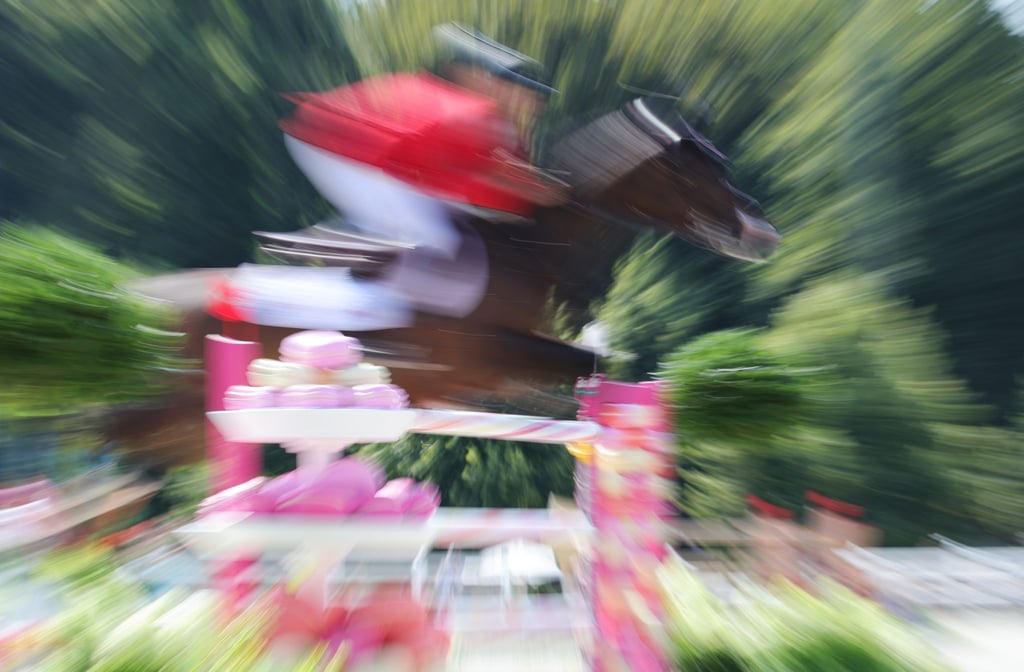 Es gab 2025 mehr tote Pferde als im Vorjahr. (Symbolbild)