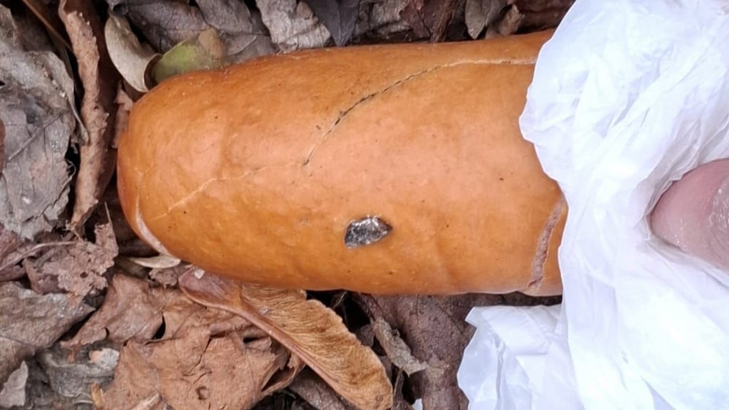 Diese Wurst mit einem Nagel hat eine Hundehalterin in Weißenfels gefunden und möchte deshalb andere Halter warnen.