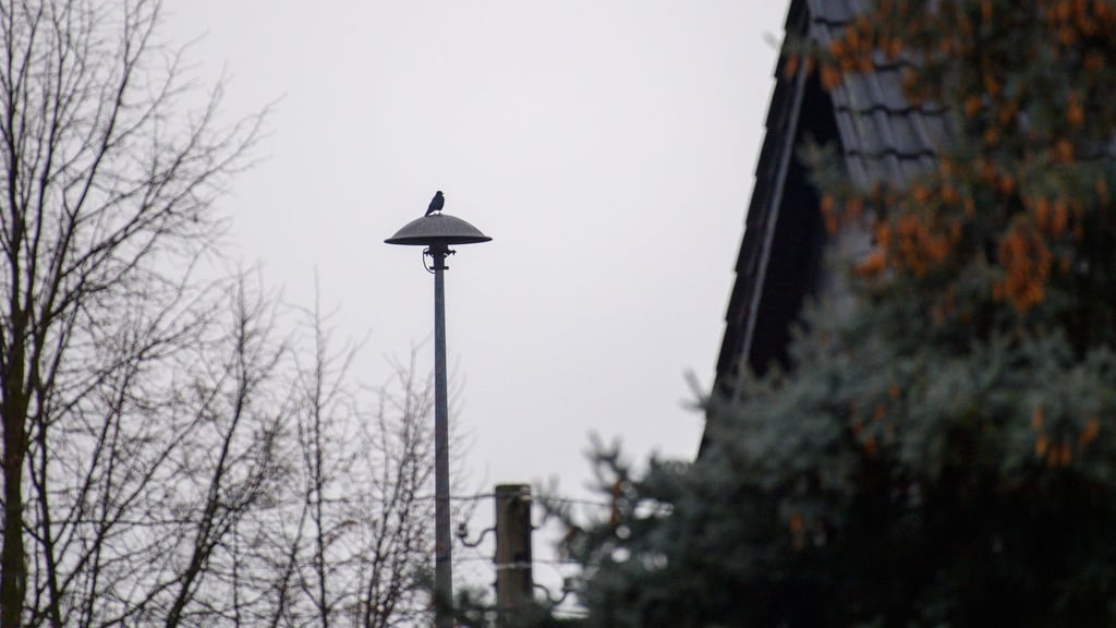 Rund 2.000 Sirenen gibt es in Sachsen-Anhalt, die im Notfall vor Gefahren warnen sollen - etwa bei Hochwasser. (Archivbild)