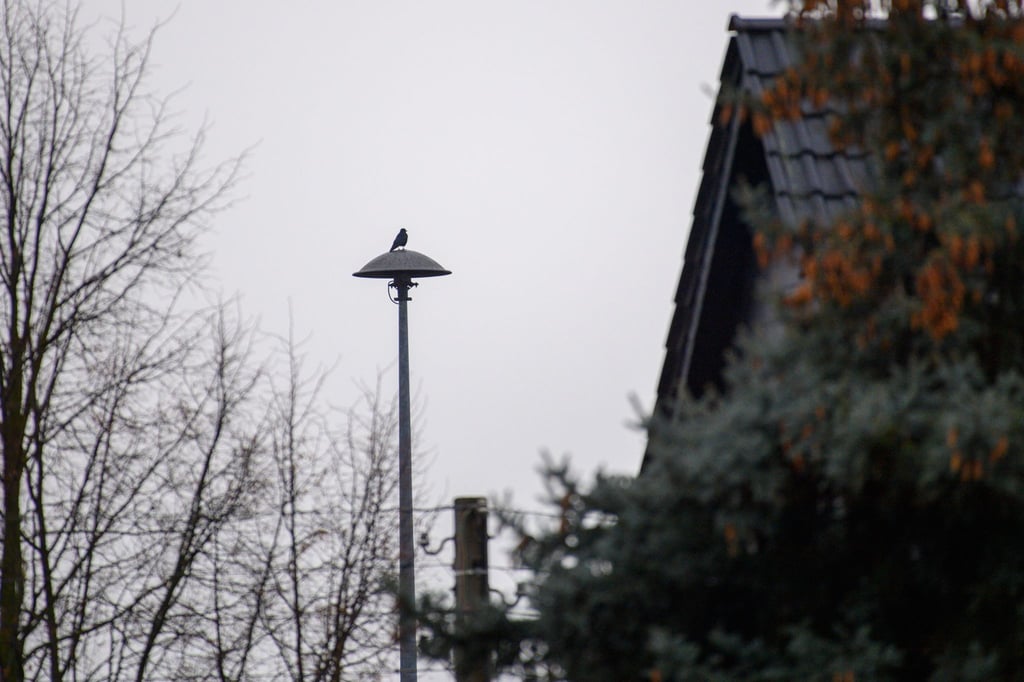 Rund 2.000 Sirenen gibt es in Sachsen-Anhalt, die im Notfall vor Gefahren warnen sollen - etwa bei Hochwasser. (Archivbild)