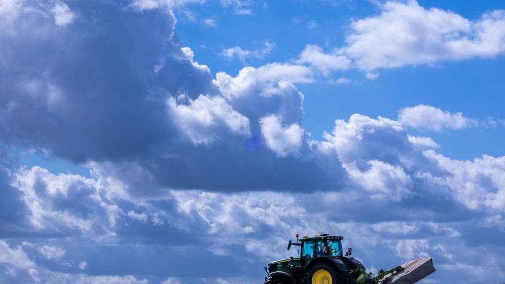 Es lohnt sich oft nicht: Die Produktionskosten für Agrarprodukte liegen teils über den Verkaufspreisen. (Archivbild)