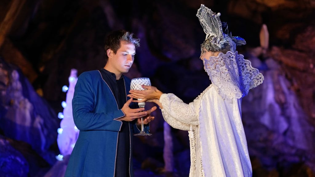 «Magische Lichterwelten» gibt es auch in Halle zu bewundern. Für viele Kinder gehört der riesige beleuchtete Wal zu den Highlights. Die neuen Lichtinstallationen sind vom 12. Dezember bis 1. März zu sehen.&nbsp;