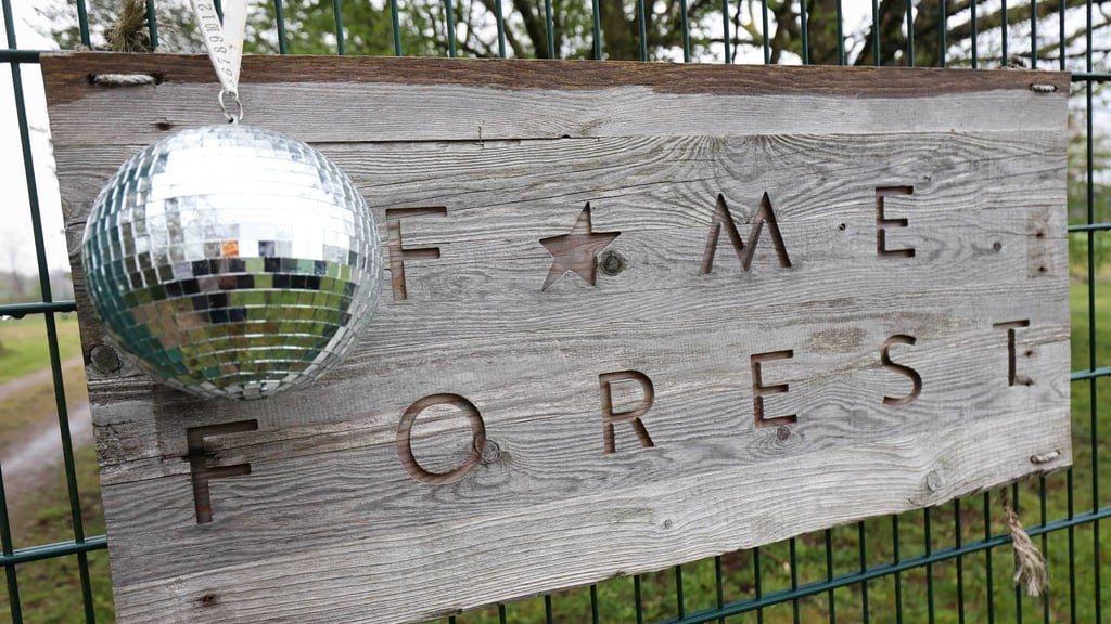 Erst Glitzer, Glamour und Nebelmaschine - dann Naturschutz mit einem eigenen Baum im Fame Forest. In und um Hamburg wird für jede Veranstaltung in der Barclays Arena ein Baum gepflanzt. (Archivbild)