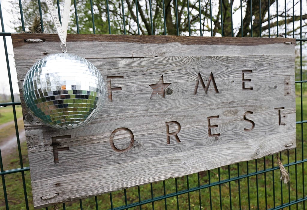 Erst Glitzer, Glamour und Nebelmaschine - dann Naturschutz mit einem eigenen Baum im Fame Forest. In und um Hamburg wird für jede Veranstaltung in der Barclays Arena ein Baum gepflanzt. (Archivbild)