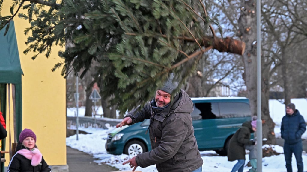 Auch in diesem Jahr werden in Frose die Weihnachtsbäume wieder tief fliegen.