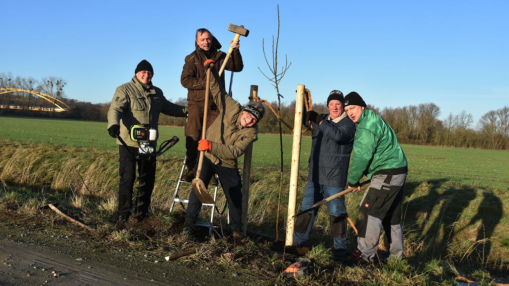 Packen gemeinsam an: Gerd Müller (von links), Detlef Schütte, Werner Kleische, Rüdiger Boßmann und Frank Rödiger beim Einsatz der Jagdgenossenschaft Calvörde am Feldweg vom Mittellandkanal zur Ohre. Gepflanzt werden Obstbäume.