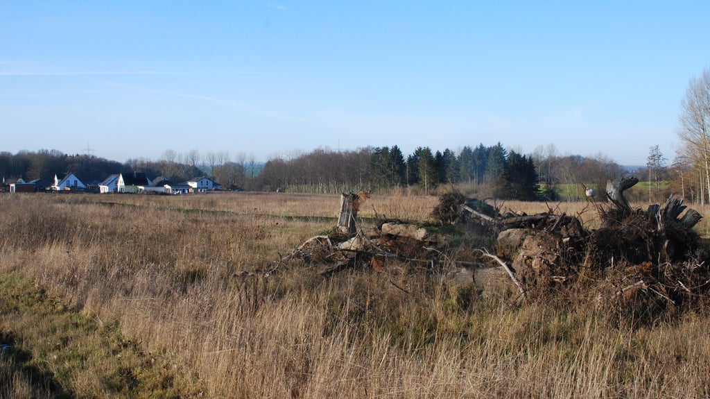 Hier bei Bergen soll eigentlich ein Solarpark entstehen. Ein Investor hat bereits erste Maßnahmen getroffen.