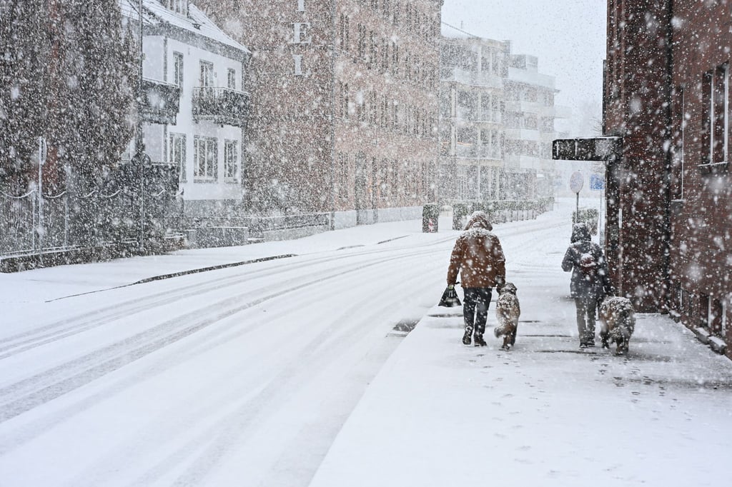 Der Wintereinbruch sorgte in Niedersachsen für glatte Straßen.