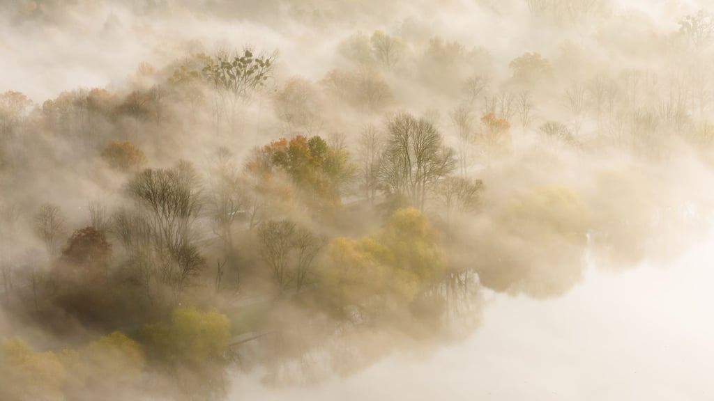 Auch bei Nebel lassen sich atmosphärische Fotos machen.