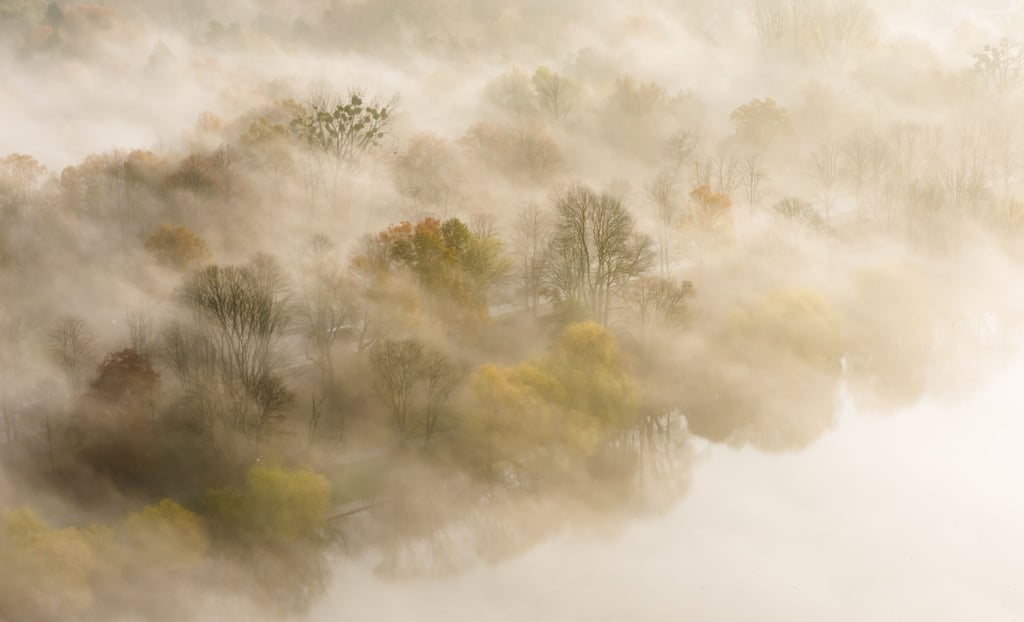 Auch bei Nebel lassen sich atmosphärische Fotos machen.
