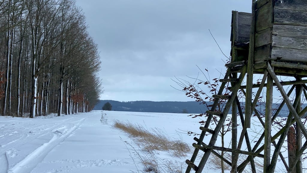 Idyllisch, aber durchaus tückisch für den Straßenverkehr: Eine verschneite Straße bei Allstedt am Sonntag