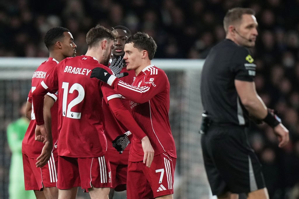 Florian Wirtz (r) gelang der 1:1-Ausgleich für Liverpool beim FC Fulham.