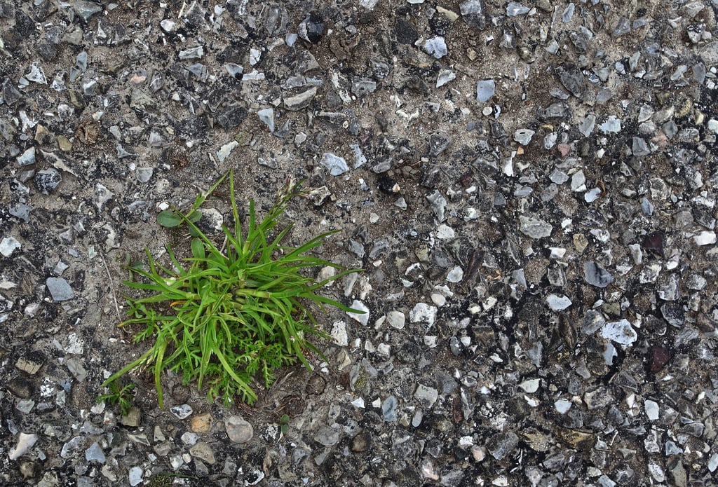 Thüringens Umweltminister Tilo Kummer (BSW) will, dass weniger Flächen versiegelt sind (Illustration)