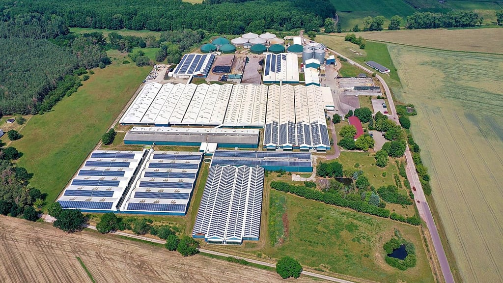 Die Schweinezuchtanlage Gladau aus der Luft.