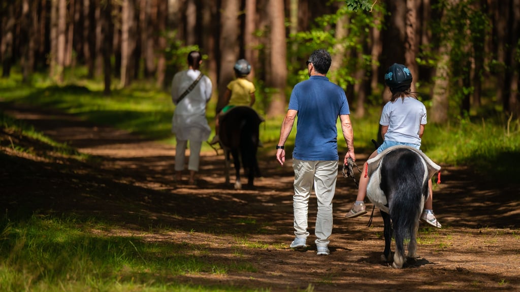 Beliebte Runde: Beim Ponyreiten führt die Strecke mitten durch den Müritz Nationalpark.
