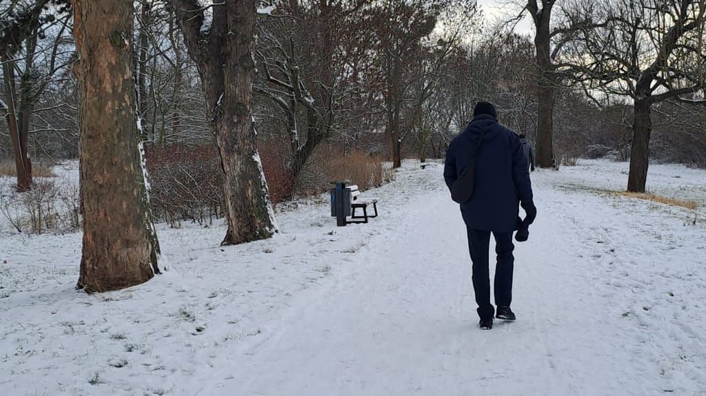 Winter 2025 in Magdeburg, hier im Stadtpark. 