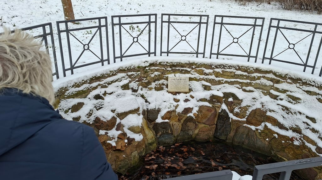 Winter 2025 in Magdeburg, hier an der Salzquelle im Stadtpark. 