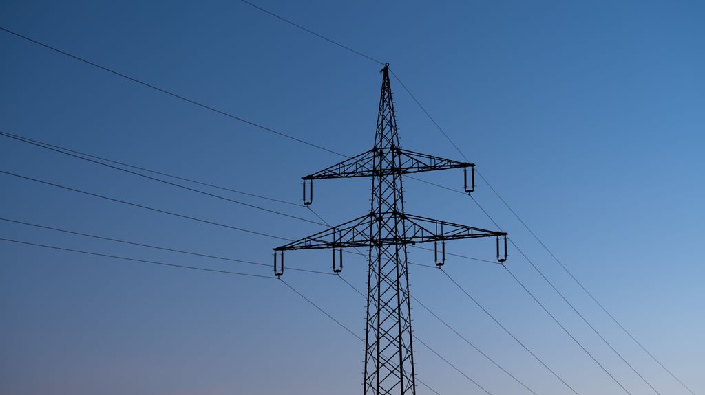 Ein flächendeckender Stromausfall ist nur eines der vielen möglichen Katastrophenszenarien.