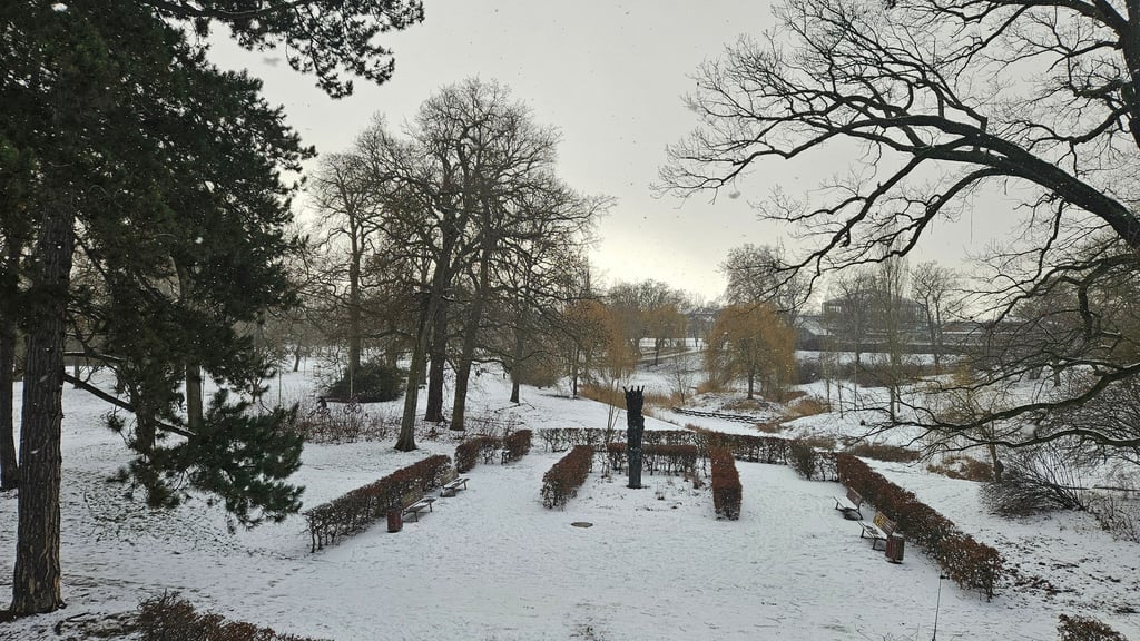 Klosterbergegarten Magdeburg im Winter. 